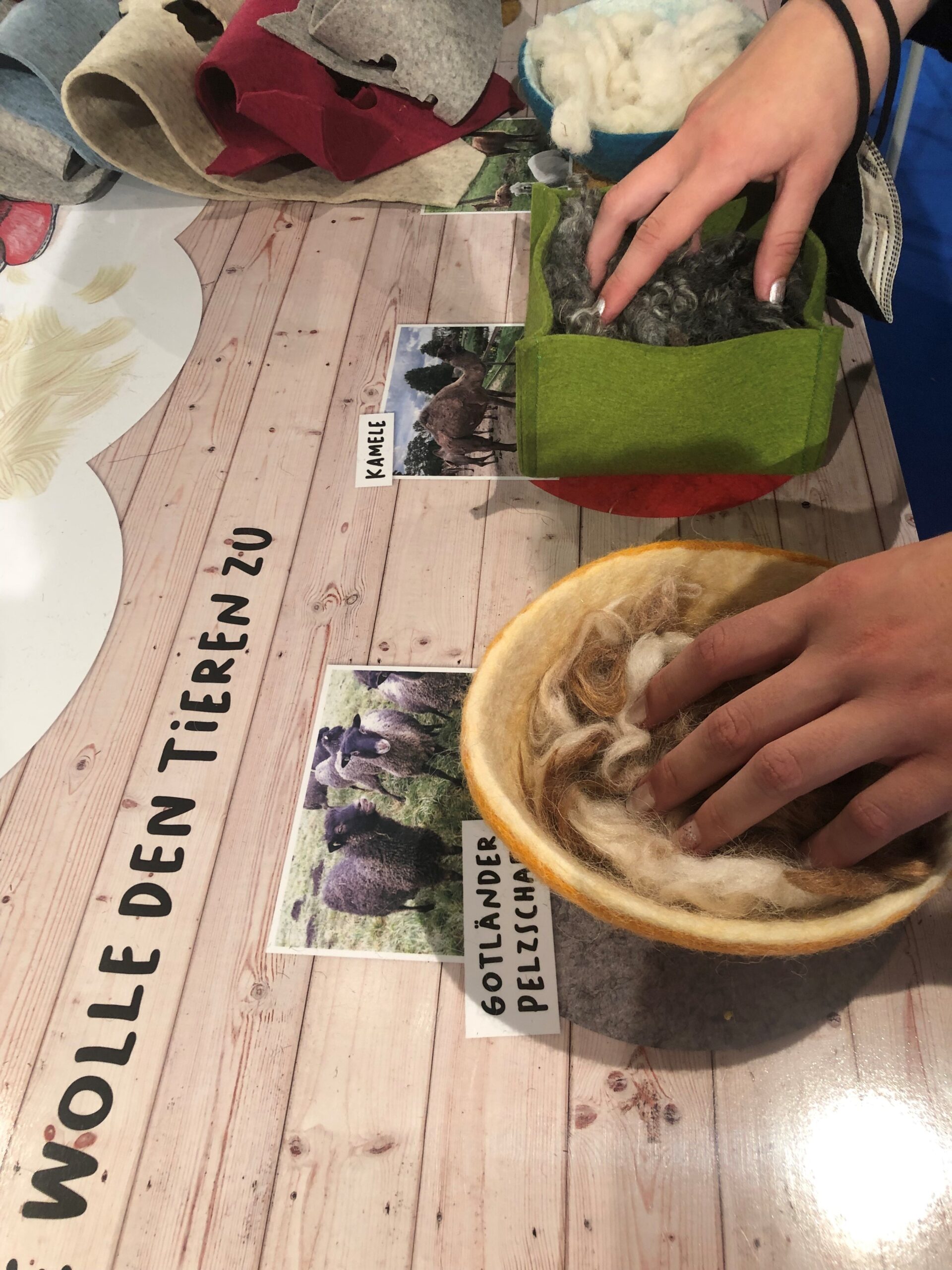 Foto: Torsten Weiß [ Mitmachende ertasten die Naturwolle von verschiedenen Schafen].