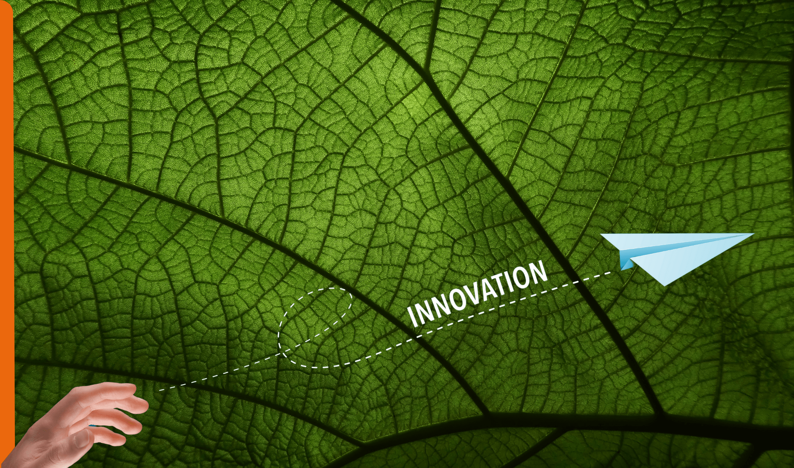 Ein grünes Blatt - projekt InnoGrün