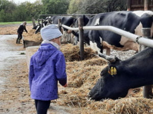 Bauernhofbesuch-BioTopia-Greifenhagen