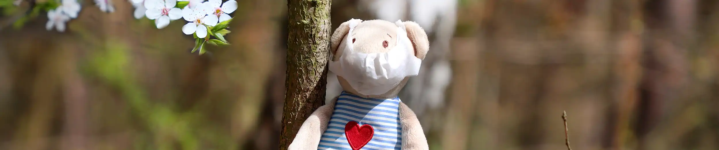 Ein Teddy auf einem Baum - Spielzeug spenden für Kinder