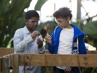 Bildungsspender: Bio-Experiment (c) Stiftung Bildung