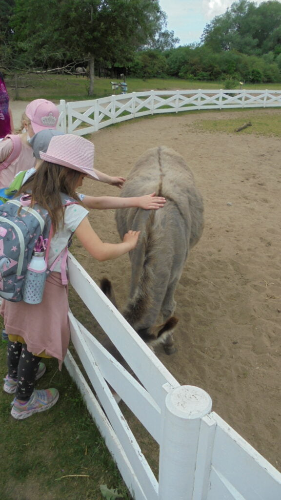 Kinder streicheln Esel