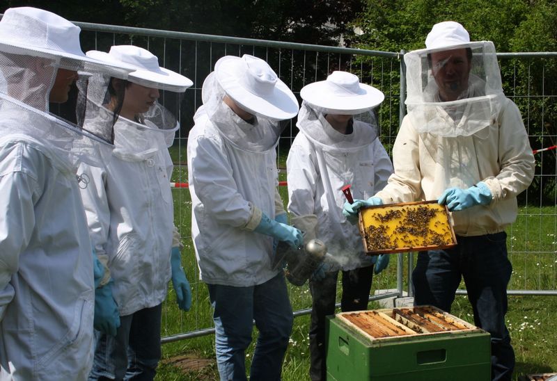 Projekt mit Schulbienen - Realschule Georgsmarienhütte - Nominiert für den Förderpreis 2017