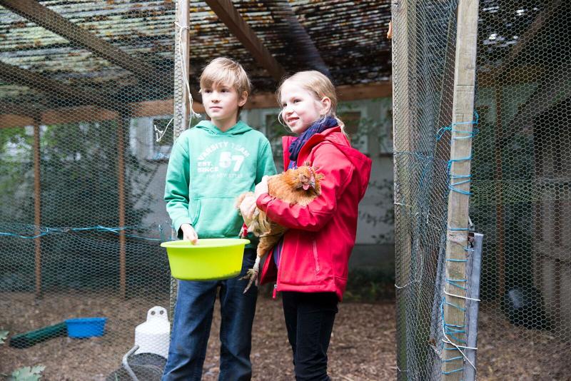 Nachhaltigkeit durch Solar - Grundschule am Baumschulenweg - Nominiert für den Förderpreis 2017