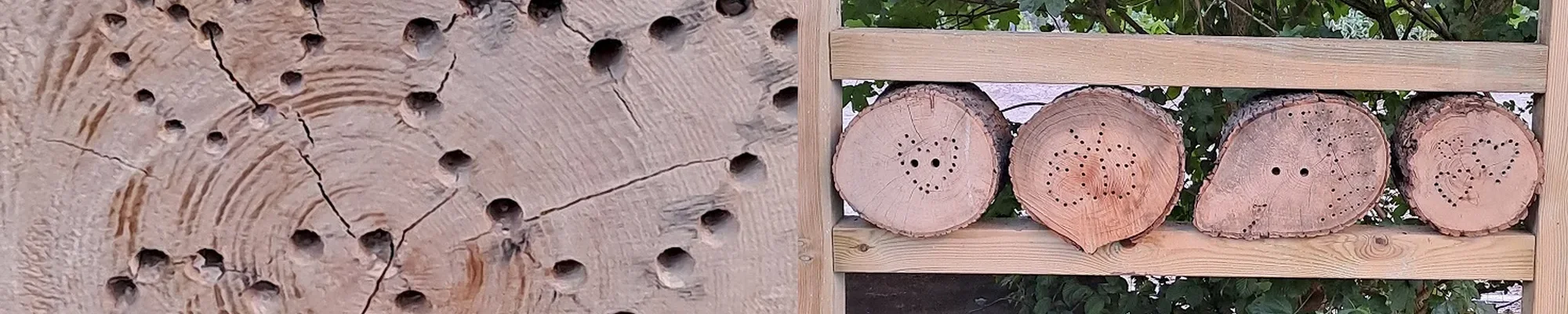 Ein Insektenhotel nur für Bienen