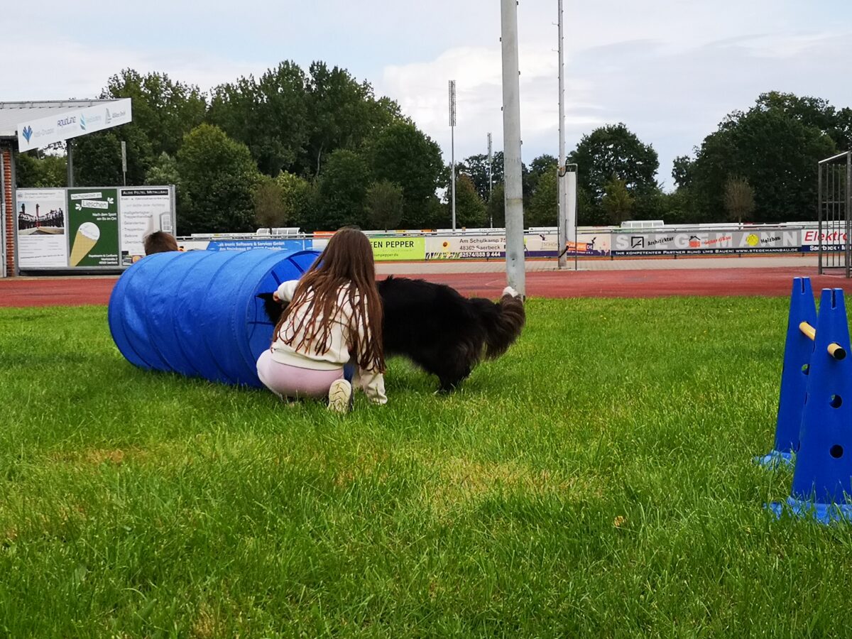 Therapiehund Socke Projekt Chancenpatenschaften.