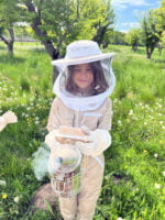 Gut geschützt zum Bienenstock