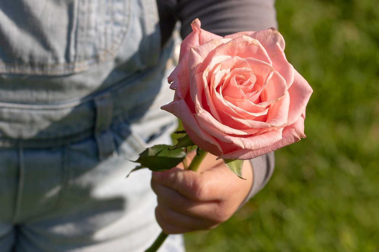 Danksagung - Kind mit Rose - Miriam Ziller/pixabay