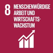 SDG-icon-DE-08 SDG-icon-DE-08