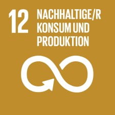 SDG-icon-DE-12 SDG-icon-DE-12