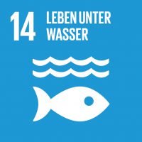 SDG-icon-DE-14_full SDG14 - Leben unter Wasser