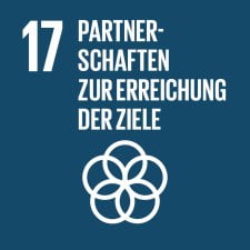 SDG-icon-DE-17 SDG-icon-DE-17
