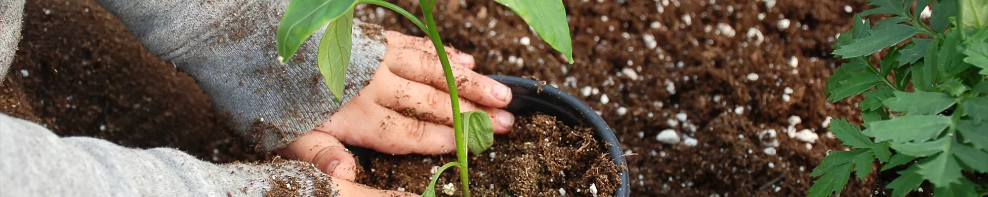 Projekt "Unser Dorfgarten" - Nominiert für den Förderpreis 2024 - Slide