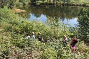 Unterwegs-in-der-Waldwildnis