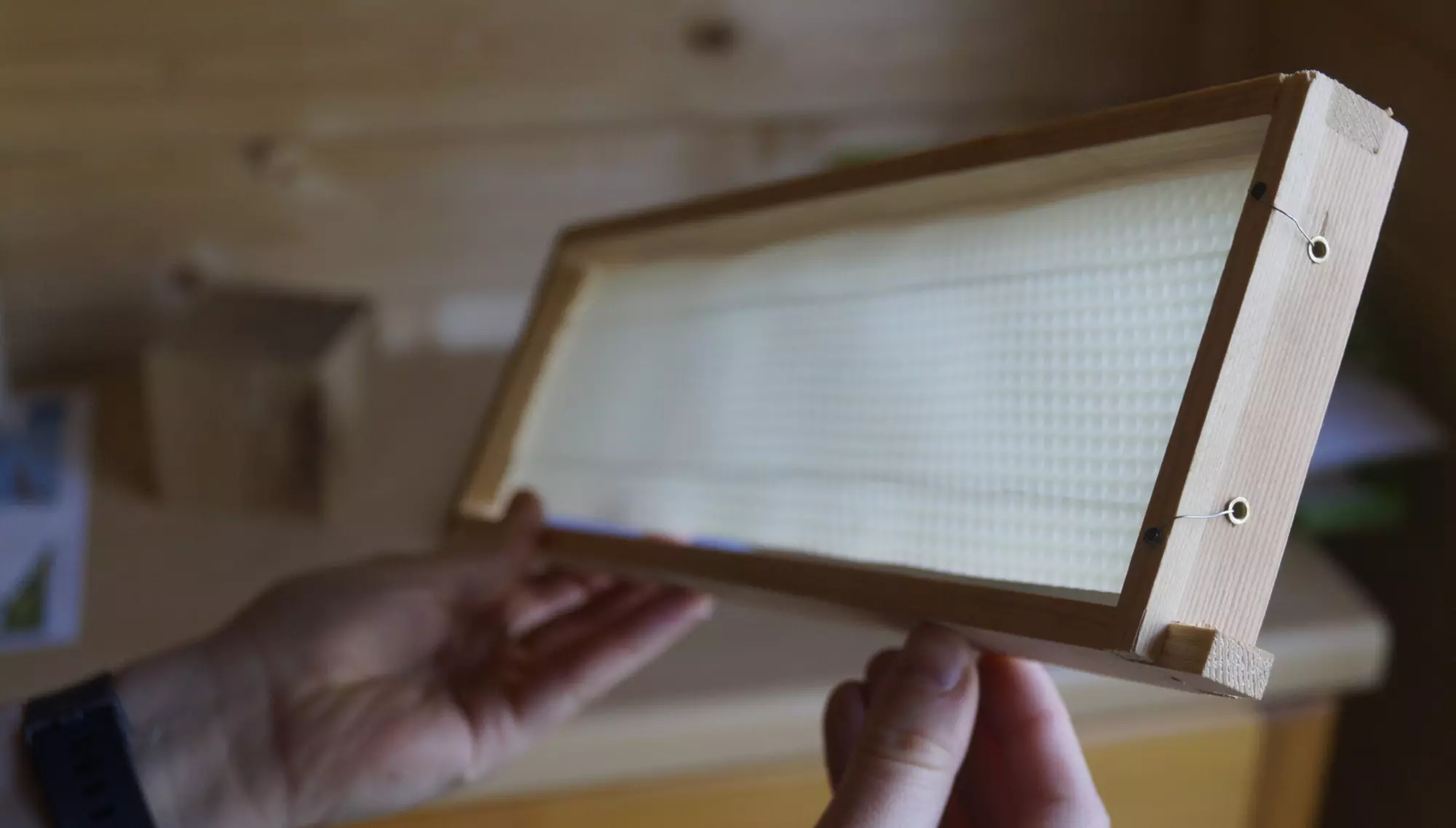 Projekt Honigbox aus youstartN 2