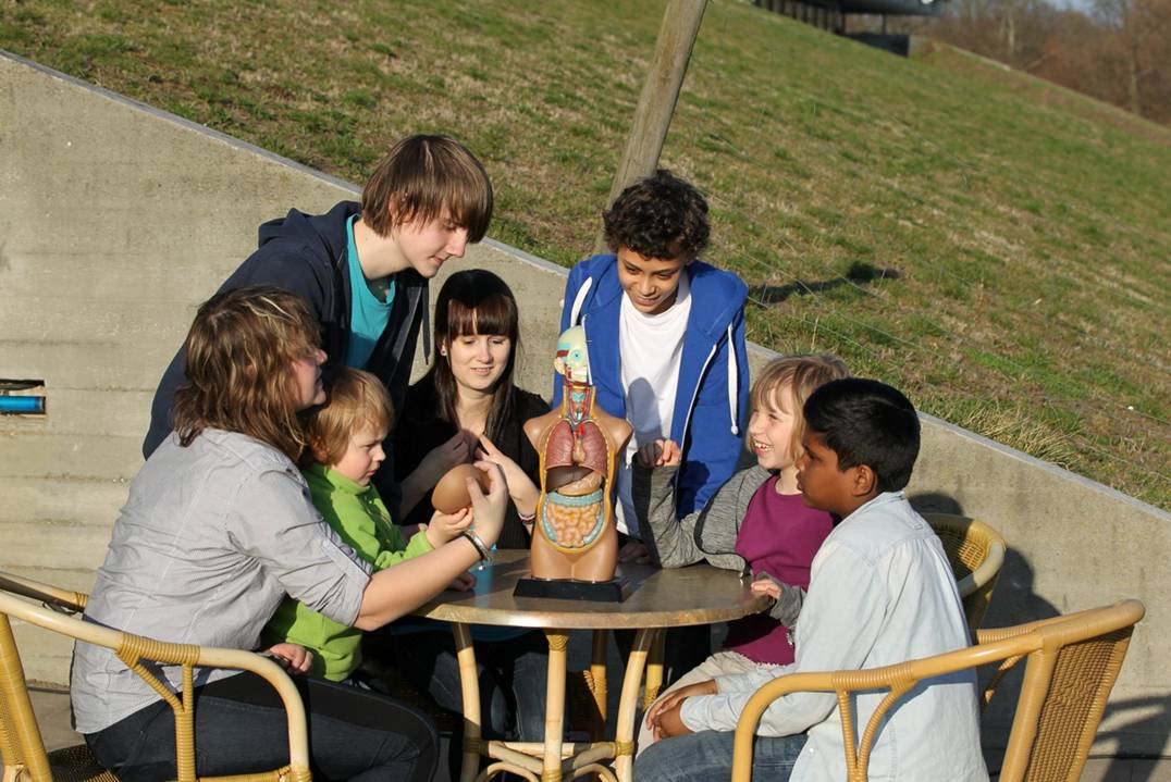 Pressefoto der Stiftung Bildung - Lernen mit allen Sinnen vom Vorschulalter bis zur Oberstufe: Eine Gruppe von Schüler*innen untersucht die inneren Organe des Menschen anhand eines Modells.