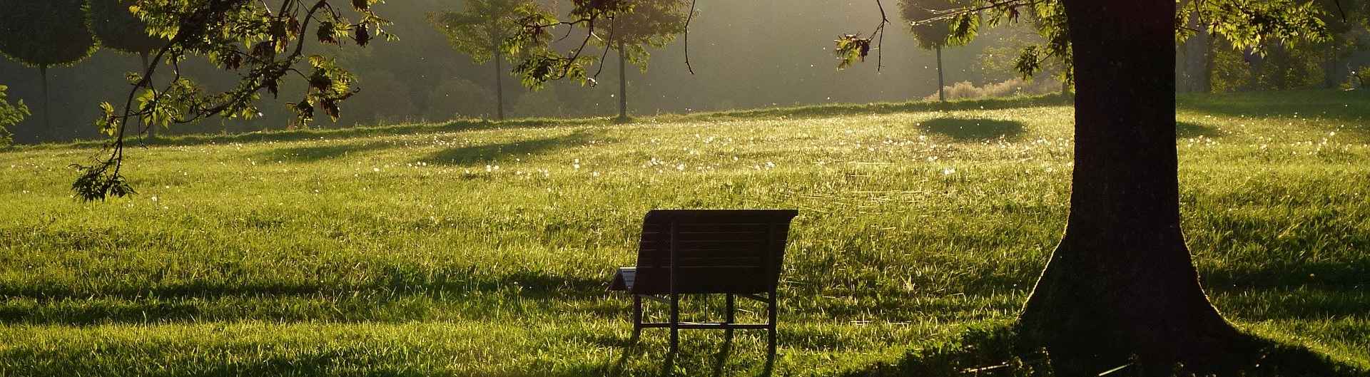 Eine leere Bank im Park - Was bleibt, Interview mit Christine Westermann